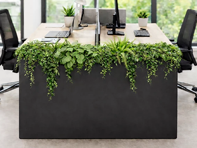 plantenbak als ruimteverdeler op kantoor, Officetopper